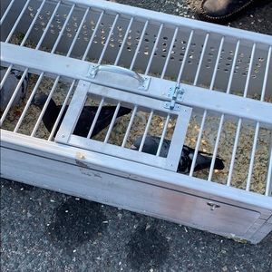 Meet your Posher, Charice